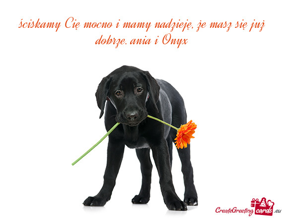 Ściskamy Cię mocno i mamy nadzieję, że masz się już dobrze. ania i Onyx