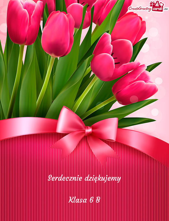 Serdecznie dziękujemy Klasa 6 B