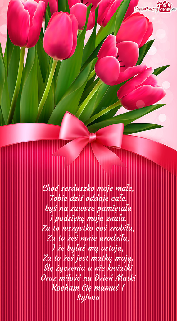 Ślę życzenia a nie kwiatki Oraz miłość na Dzień Matki Kocham Cię mamuś ! Sylwia