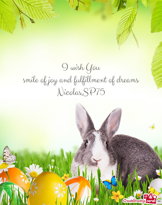 Smile of joy and fulfillment of dreams