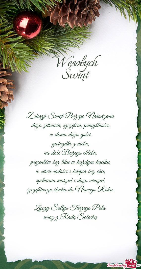 Sołtys Turzego Pola