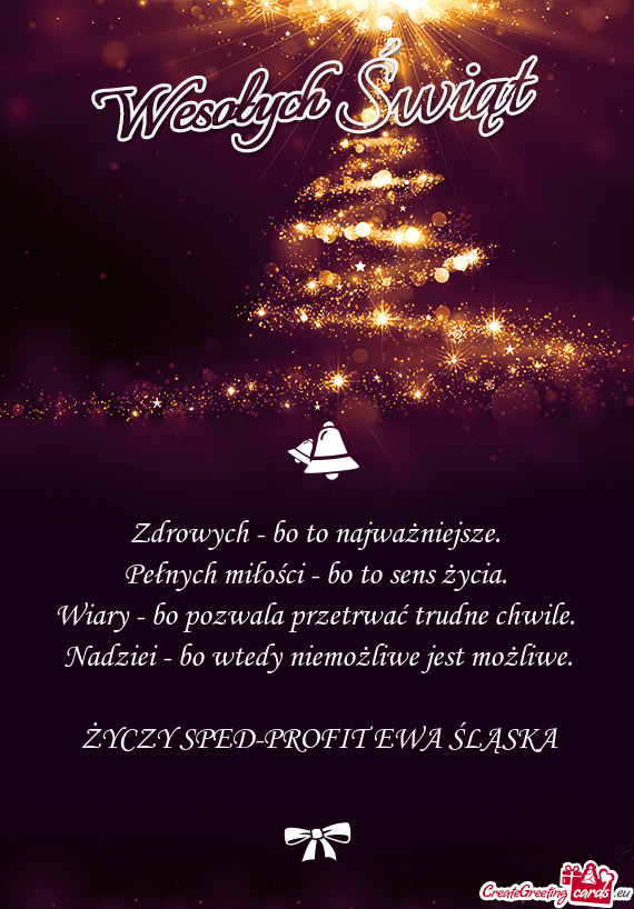 SPED-PROFIT EWA ŚLĄSKA