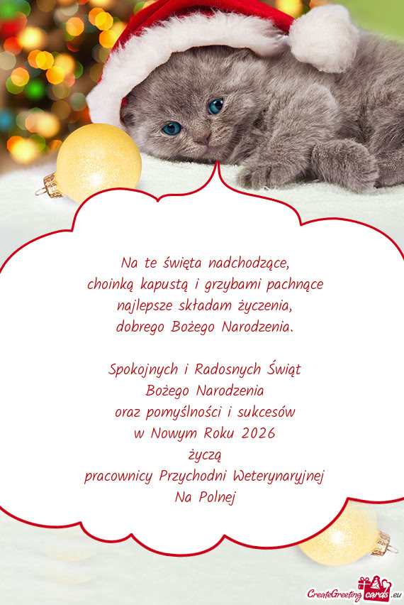 Spokojnych i Radosnych Świąt Bożego Narodzenia oraz pomyślności i sukcesów w Nowym Ro