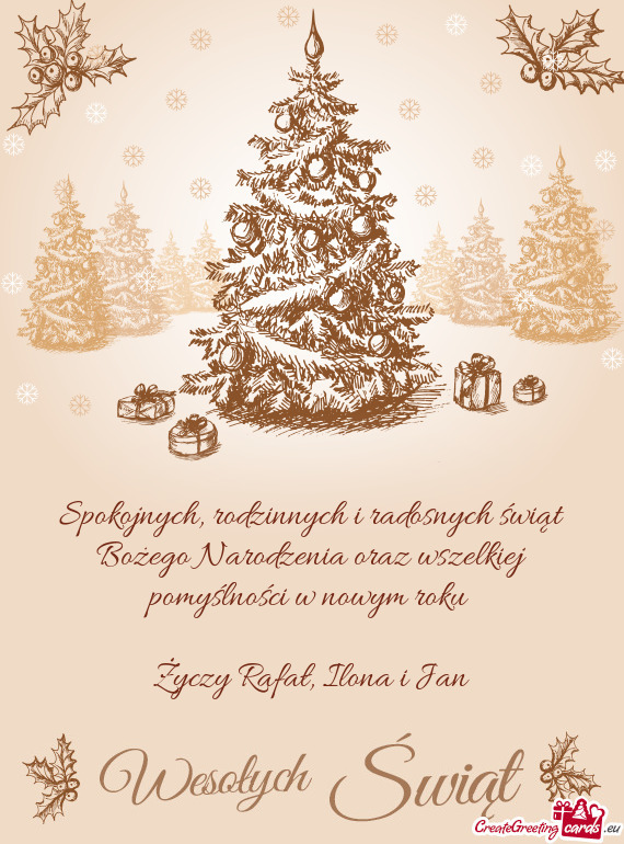 Spokojnych, rodzinnych i radosnych świąt Bożego Narodzenia oraz wszelkiej pomyślności w nowym r