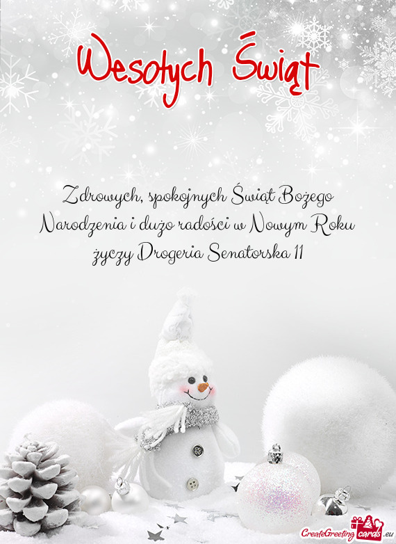 Spokojnych Świąt Bożego Narodzenia i dużo radości w Nowym Roku życzy Drogeria Senatorska 11