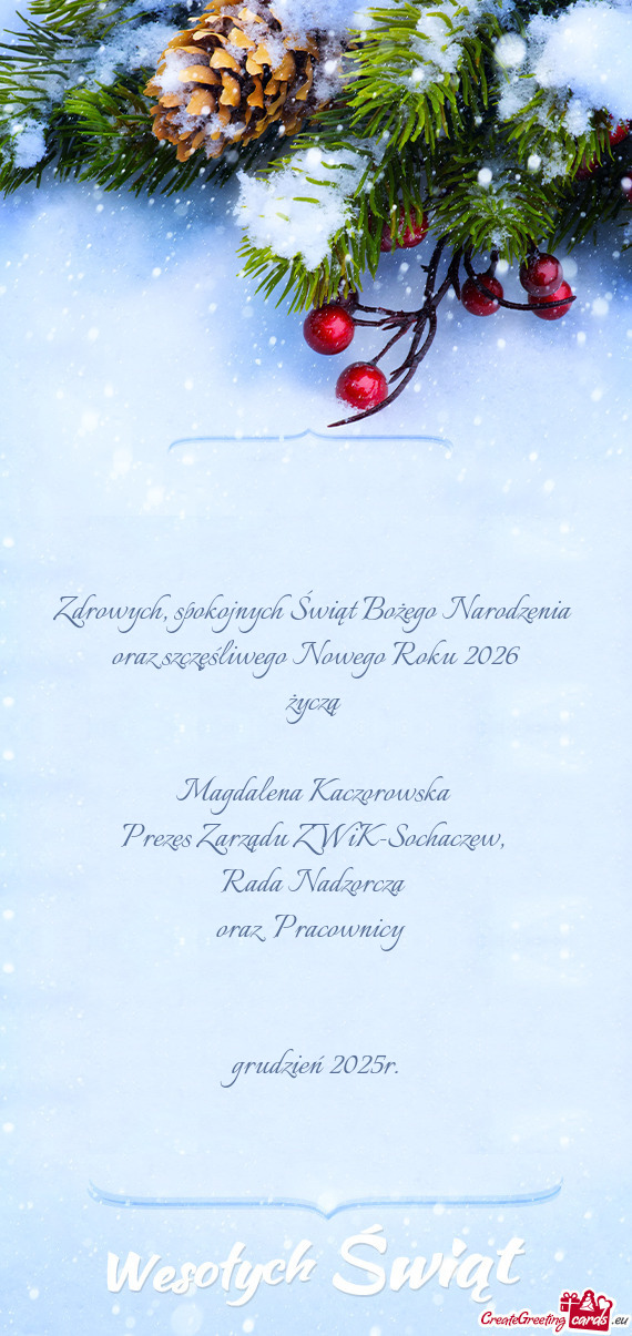 Spokojnych Świąt Bożego Narodzenia oraz szczęśliwego Nowego Roku 2026 życzą  Magdalena