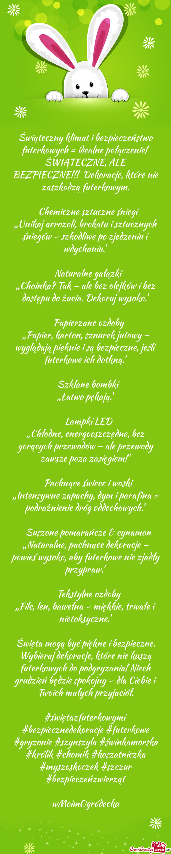 Świąteczny klimat i bezpieczeństwo futerkowych = idealne połączenie