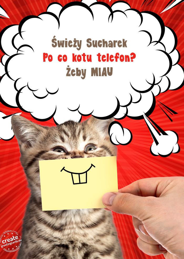 Świeży Sucharek Po co kotu telefon? Żeby MIAU