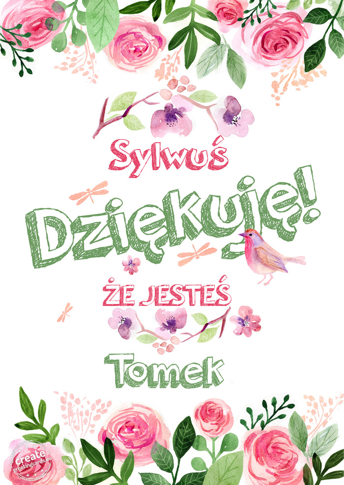 Sylwuś Dziękuje ŻE JESTEŚ Tomek