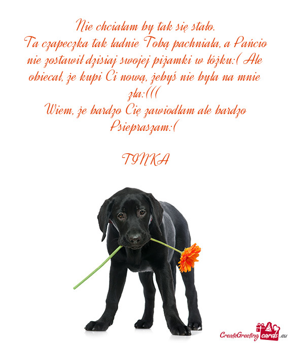 Ta czapeczka tak ładnie Tobą pachniała, a Pańcio nie zostawił dzisiaj swojej piżamki w łóżk