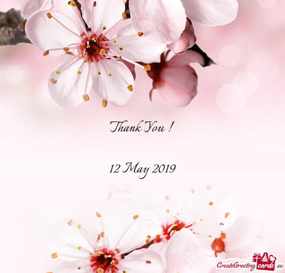 Thank You !
 
 12 May 2019