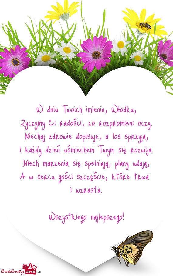 W dniu Twoich imienin, Włodku