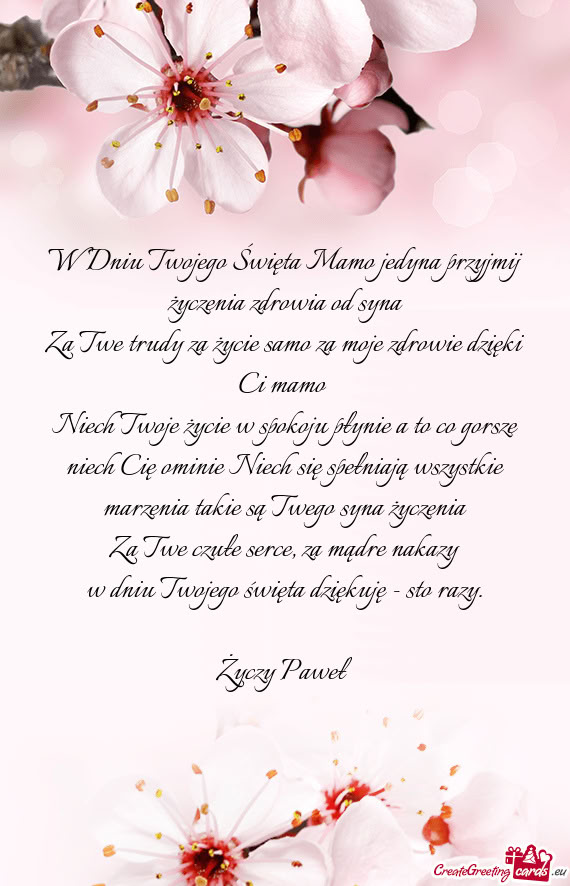 W Dniu Twojego Święta Mamo jedyna przyjmij życzenia zdrowia od syna
