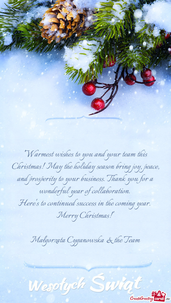 "Warmest wishes to you and your team this Christmas! May the holiday season bring joy, peace, and pr