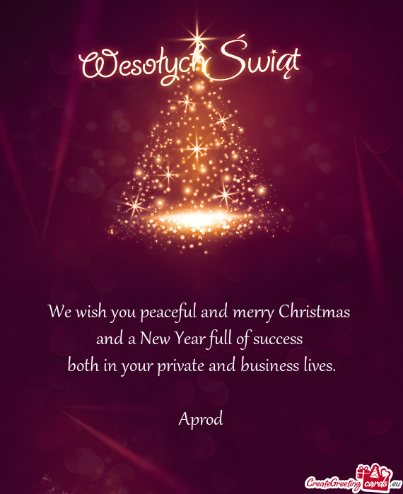 We wish you peaceful and merry Christmas 
 and a New Year full of success 
 both in your private and