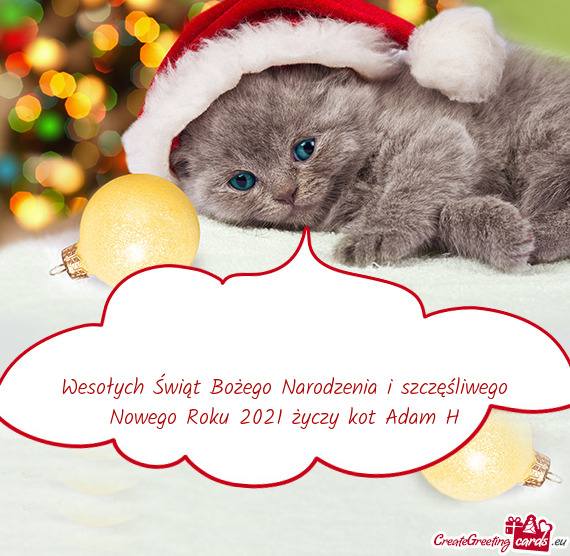 Wesołych Świąt Bożego Narodzenia i szczęśliwego Nowego Roku 2021 życzy kot Adam H