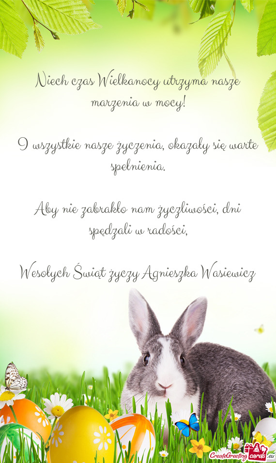 Wesołych Świąt życzy Agnieszka Wasiewicz