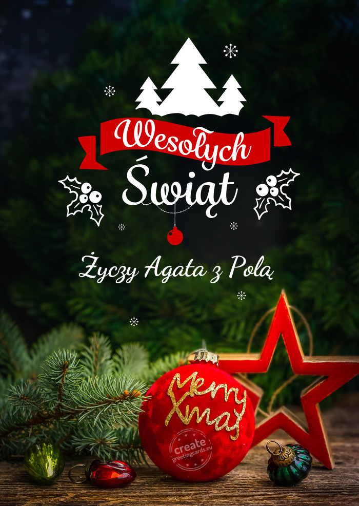 Wesołych ŚwiątaAgata z Polą