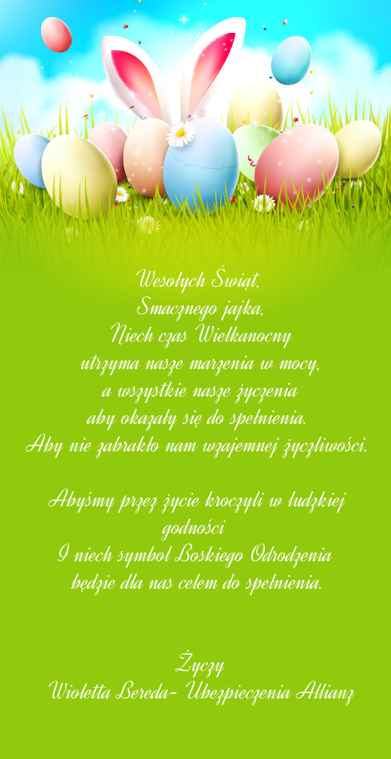 Wioletta Bereda- Ubezpieczenia Allianz