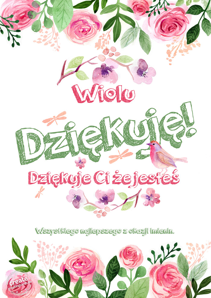 Wiolu Dziękuje Dziękuje Ci że jesteś Wszystkiego najlepszego z okazji imienin