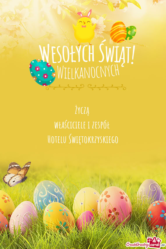 Właściciele i zespół