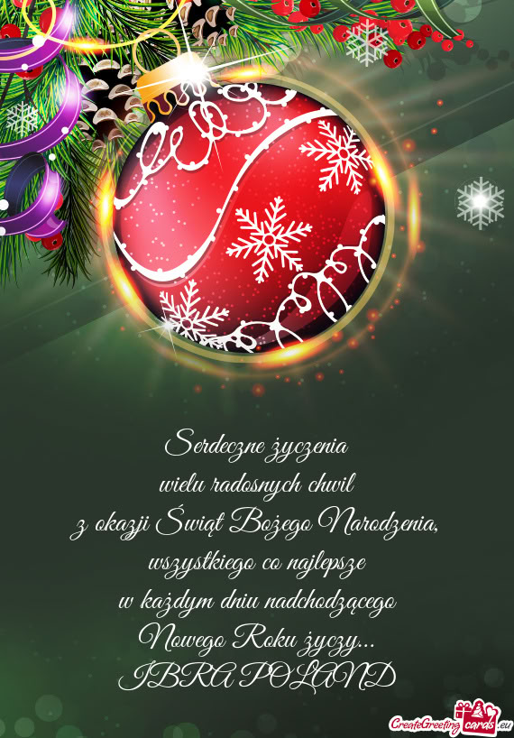Wszystkiego co najlepsze w każdym dniu nadchodzącego Nowego Roku życzy… IBRA POLAND