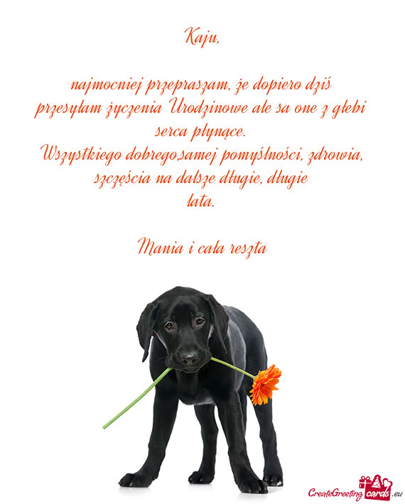 Wszystkiego dobrego,samej pomyślności, zdrowia, szczęścia na dalsze długie, długie