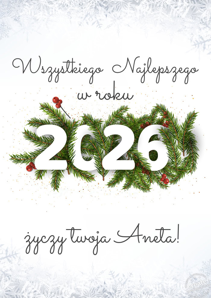 Wszystkiego najlepszego w nowym roku twoja Aneta