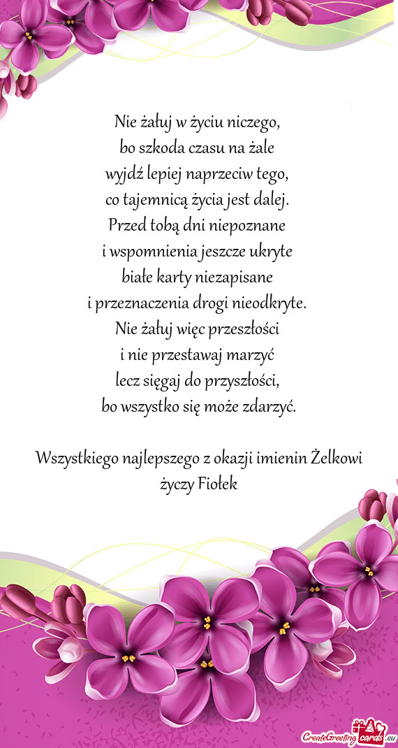 Wszystkiego najlepszego z okazji imienin Żelkowi Fiołek