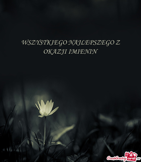 WSZYSTKIEGO NAJLEPSZEGO Z OKAZJI IMIENIN