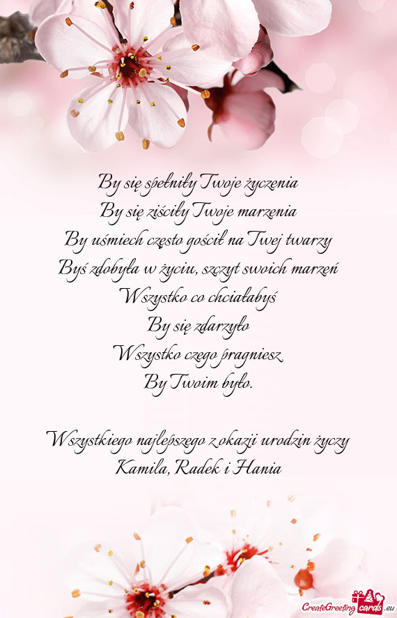 Wszystkiego najlepszego z okazji urodzin Kamila, Radek i Hania