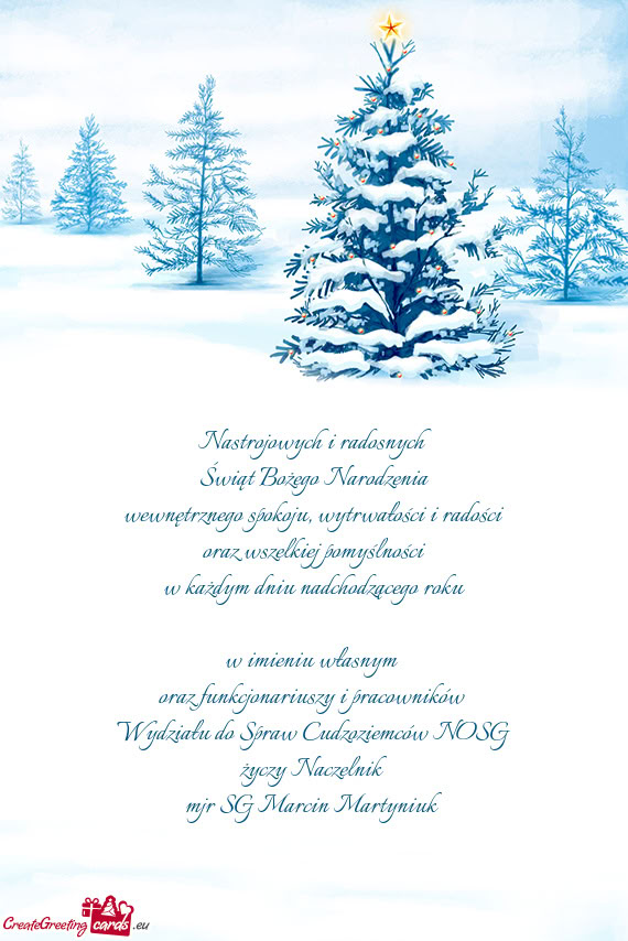 Wydziału do Spraw Cudzoziemców NOSG Naczelnik