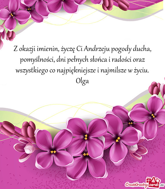 Z okazji imienin, życzę Ci Andrzeju pogody ducha, pomyślności, dni pełnych słońca i radości