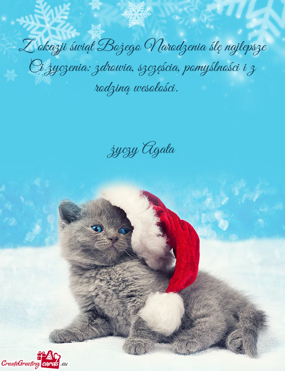 Z okazji świąt Bożego Narodzenia ślę najlepsze Ci życzenia: zdrowia, szczęścia, pomyślnoś