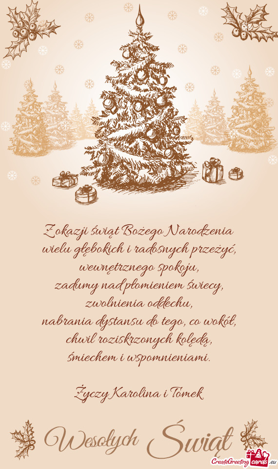 Z okazji świąt Bożego Narodzenia  wielu głębokich i radosnych przeżyć,