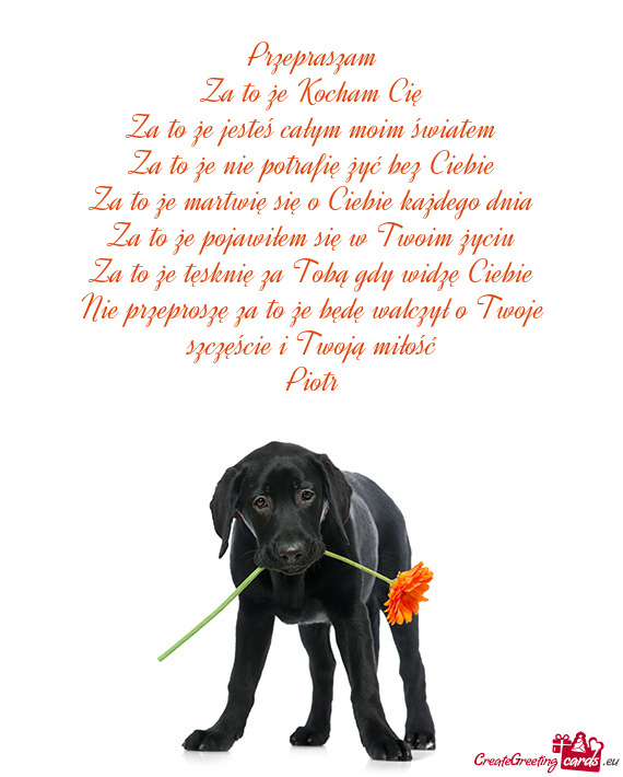 Za to że Kocham Cię