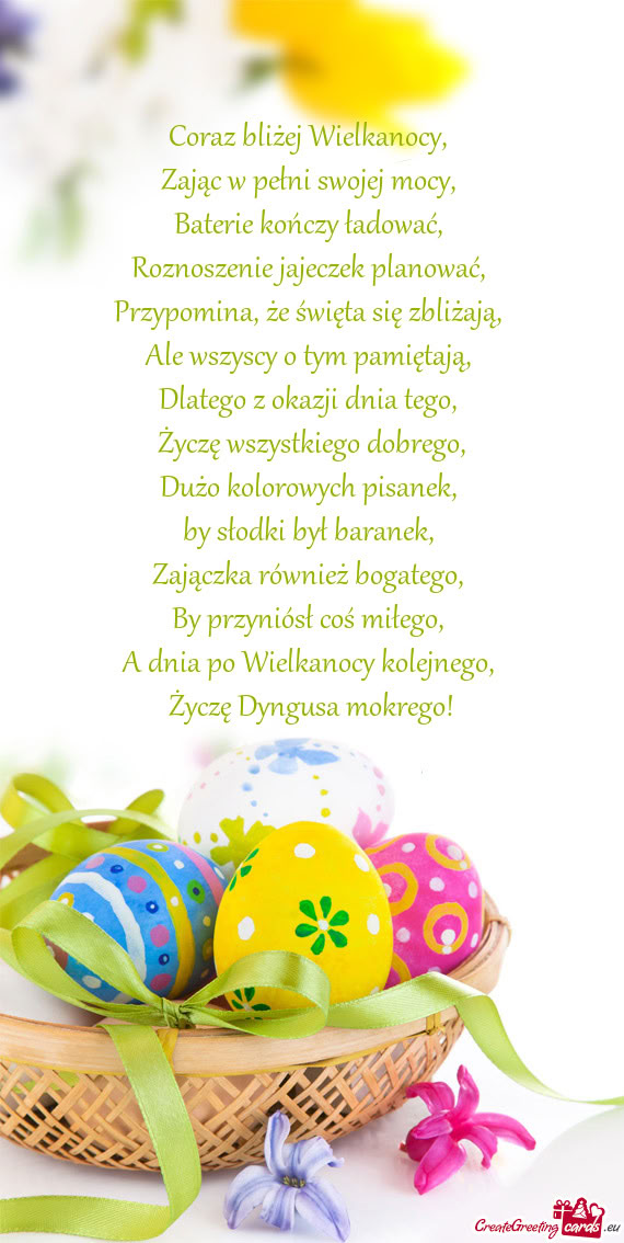 Zając w pełni swojej mocy