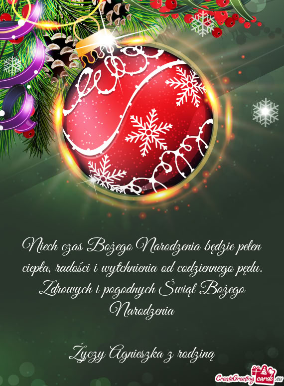 Zdrowych i pogodnych Świąt Bożego Narodzenia Agnieszka z rodziną