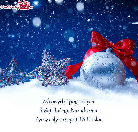 Zdrowych i pogodnych Świąt Bożego Narodzenia cały zarząd CES Polska