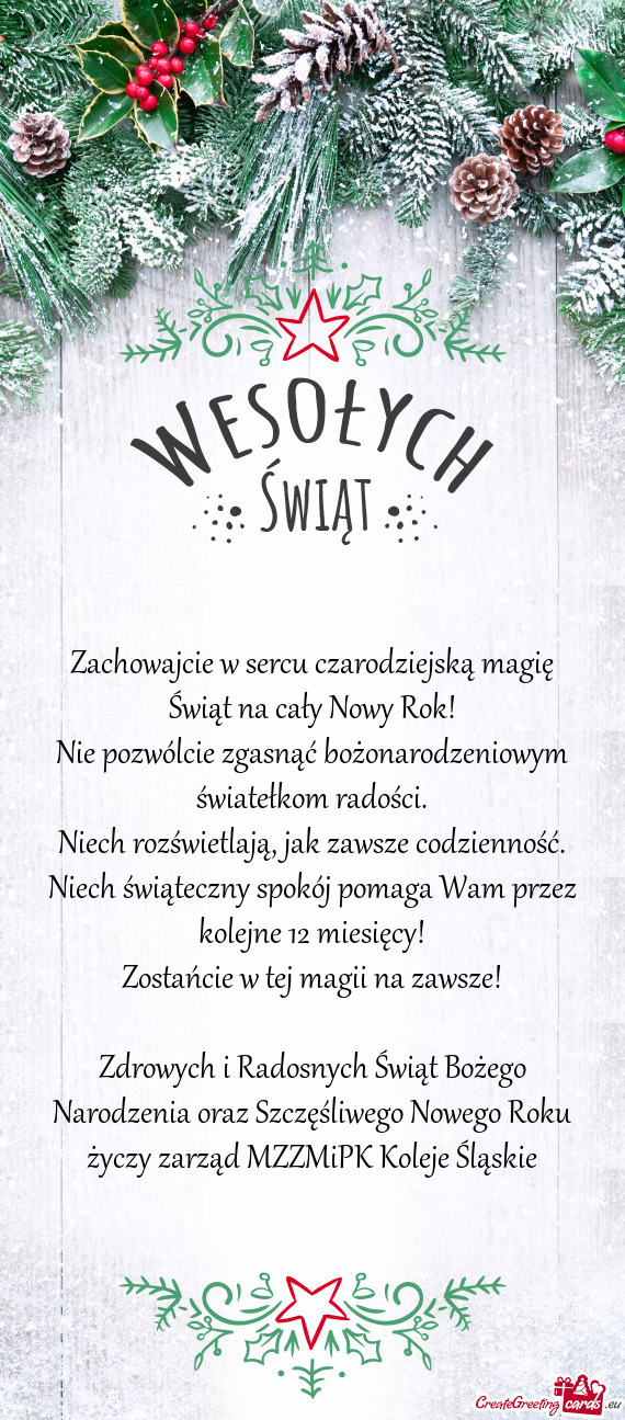 Zdrowych i Radosnych Świąt Bożego Narodzenia oraz Szczęśliwego Nowego Roku zarząd MZZMi