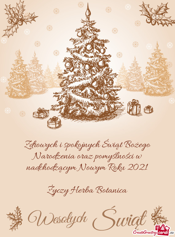 Zdrowych i spokojnych Świąt Bożego Narodzenia oraz pomyślności w nadchodzącym Nowym Roku 2021