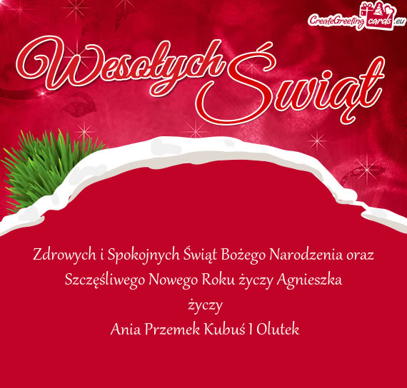 Zdrowych i Spokojnych Świąt Bożego Narodzenia oraz Szczęśliwego Nowego Roku Agnieszka
