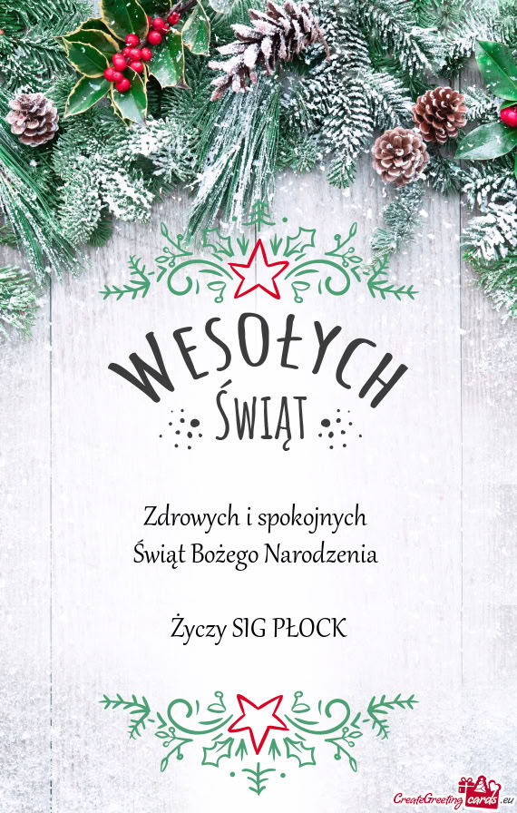 Zdrowych i spokojnych Świąt Bożego Narodzenia  SIG PŁOCK