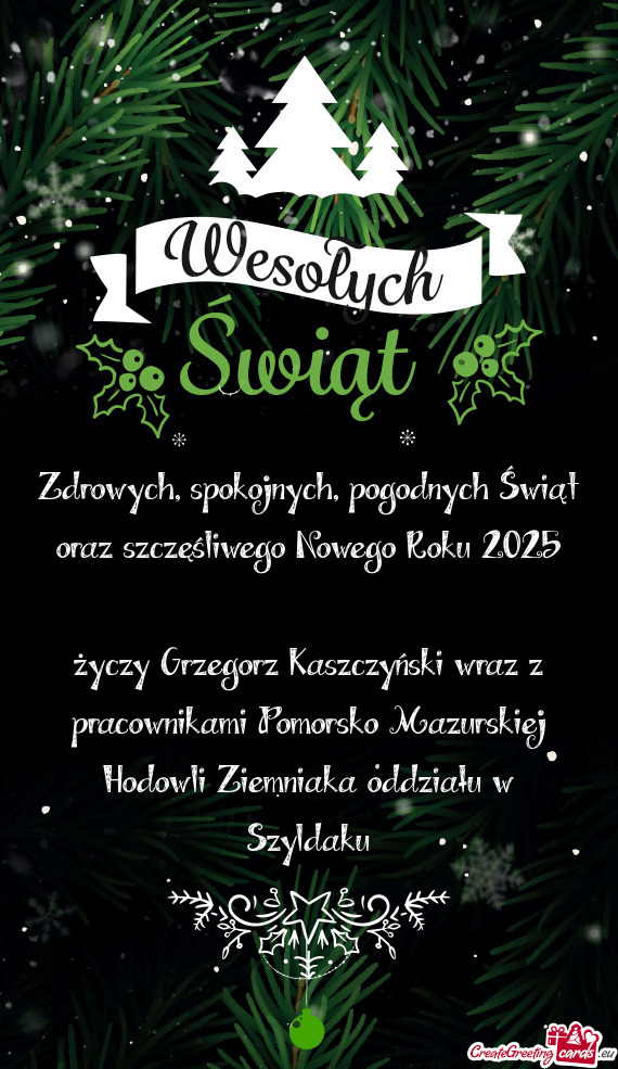 Zdrowych, spokojnych, pogodnych Świąt oraz szczęśliwego Nowego Roku 2025