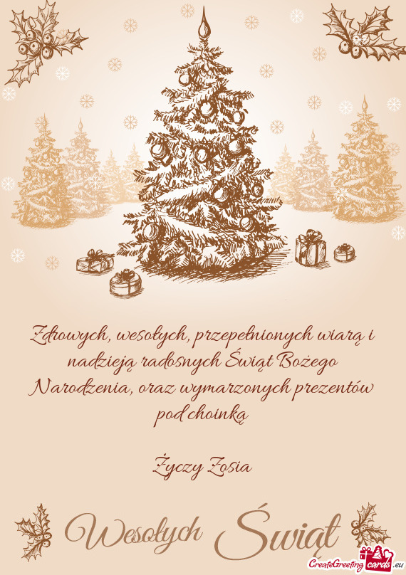 Zdrowych, wesołych, przepełnionych wiarą i nadzieją radosnych Świąt Bożego Narodzenia, oraz w