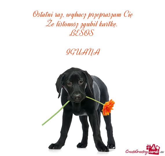 Że listonosz zgubił kartkę