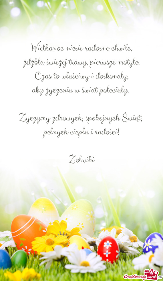 Żółwiki