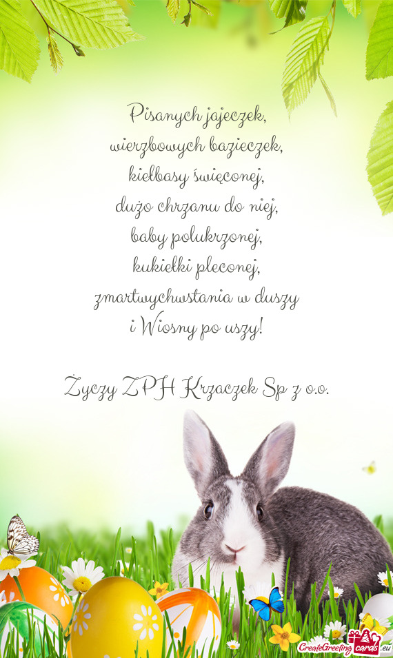 ZPH Krzaczek Sp z o.o